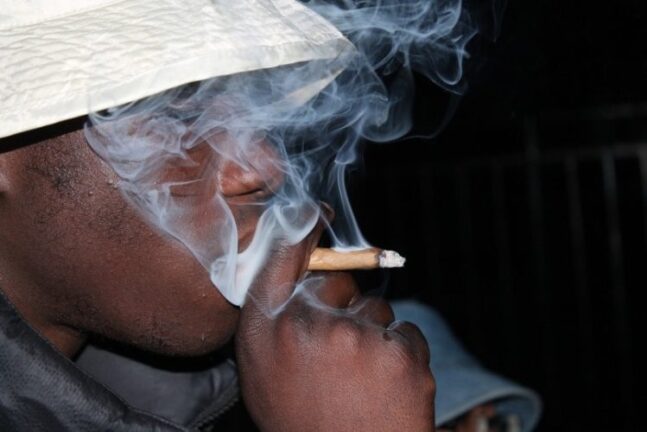 maconha