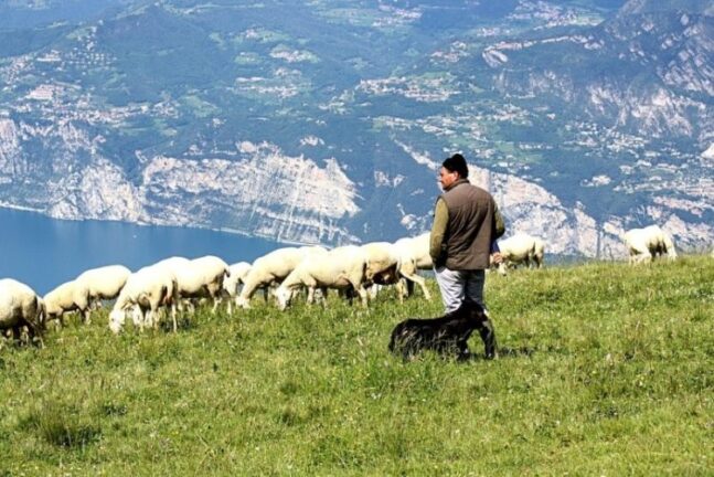 Leia mais sobre o artigo O ministério pastoral e suas implicações