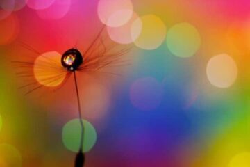 Somente Deus sabe fazer a escolha certa 18 escolhas de deus